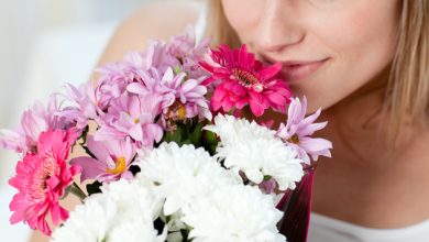 Photo of Какие цветы лучше дарить на 8 марта