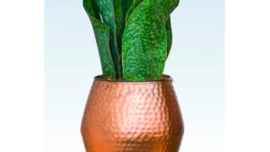 Photo of Цветы для украшения свадебного стола