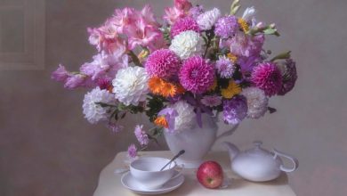 Photo of Как сохранить свежесть букета