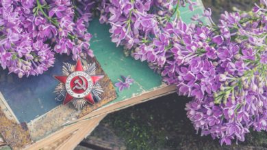 Photo of Цветы и символика в религии