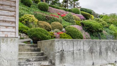 Photo of Цветы в ландшафтном дизайне