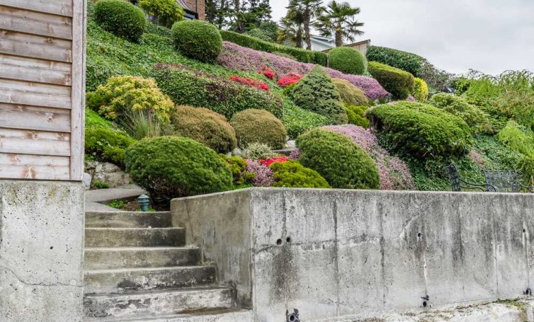 Photo of Цветы в ландшафтном дизайне